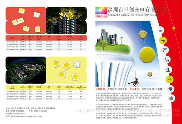 深圳世創光電有限公司 品牌全案策劃